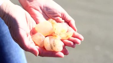 Gold Beach Oregon 'da bulunan Akik' in yakınında.