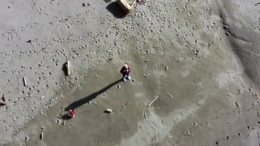 Oregon 'un güneyindeki güzel Nesika Sahili' nde küçük bir köpeği gezdiren kadın.. 