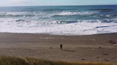 Oregon 'un güneyindeki güzel Nesika Sahili' nde küçük bir köpeği gezdiren kadın.. 