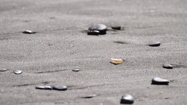 Promenader Stranden Letar Efter Skatter Och Polerade Stenar Som Den — Stockvideo