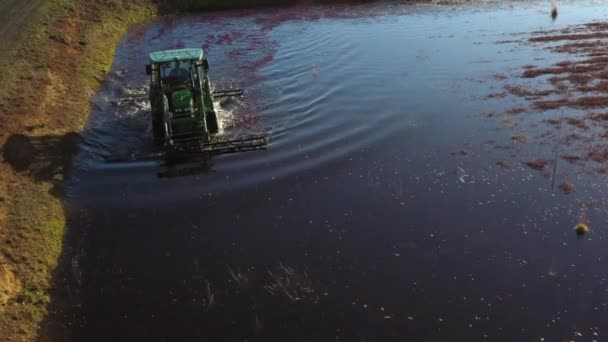 Tractor Conduciendo Través Gran Pantano Arándanos Que Cosecha Las Bayas — Vídeo de stock