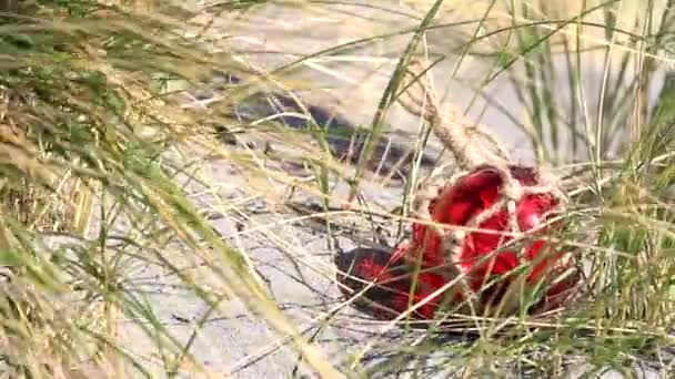 Gros plan d'un flotteur de verre rouge sur le sable avec de l'herbe haute soufflant comme une main de personnes atteint et attrape  