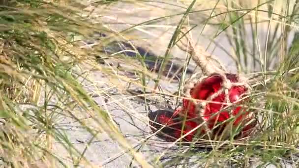 Kumun Üzerinde Kırmızı Bir Cam Parçası Süzülür Uzun Otlar Uçuşur — Stok video