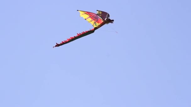 Volando Una Cometa Forma Dragón Cielo Azul Sin Nubes Con — Vídeo de stock