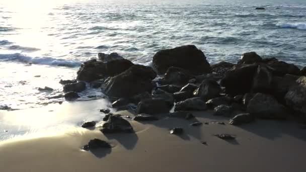 オレゴン州南部のゴールドビーチのすぐ北にあるネシカビーチは素晴らしい景色と海の景色を眺めることができます — ストック動画