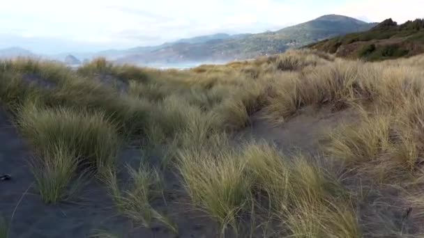 Hierba Soplando Viento Playa Ophir Oregon Con Las Aguas Azules — Vídeos de Stock