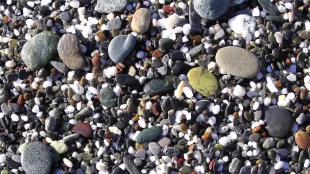 Andando Pela Praia Procura Tesouros Pedras Polidas Como Ágata Sempre — Vídeo de Stock