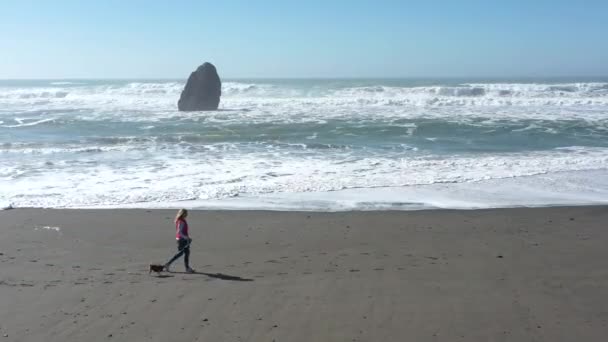 黄金のビーチで今まで人気の瑪瑙のような宝物や研磨された岩を探してビーチを歩くオレゴン州 — ストック動画