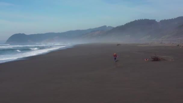 オレゴン州南部の海岸の美しいネシカビーチで小さな犬を歩く女性 — ストック動画