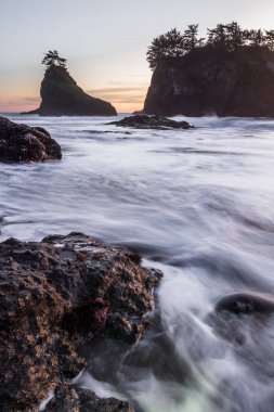 Günün sonunda gizli sahilde gelgitler yavaşça yaklaşırken ve yalnız deniz yıldızı ön planda bir kayaya tutunurken.