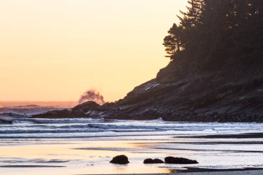 Turuncu gökyüzü ve dalgalar kayalara sıçrıyor zaten klasik Oregon sahili sahnesini ekliyor dağ ve yemyeşil ağaçlar okyanusa karışıyor.