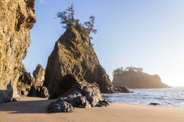Güney Oregon sahilinde sakin bir sahil. Gizli plaj olarak bilinir. Güzel güneşli bir günde, üzerinde yeşil ağaçlar olan güzel İssletler.