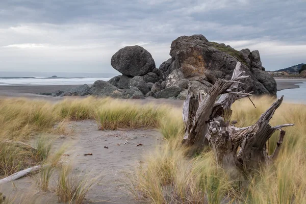 黄金のビーチオレゴン州でよく知られている岩の特徴の夕景 風に長い草が吹いている亀の岩と前景に大きなドリフトウッドの作品 — ストック写真