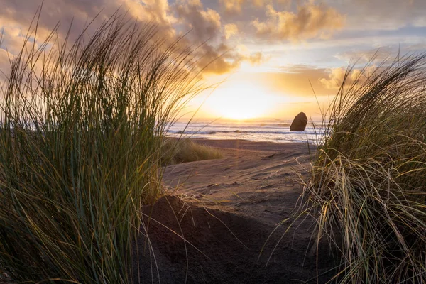 Beautiful and colorful sunset scene thru the tall grass in Gold Beach, Oregon