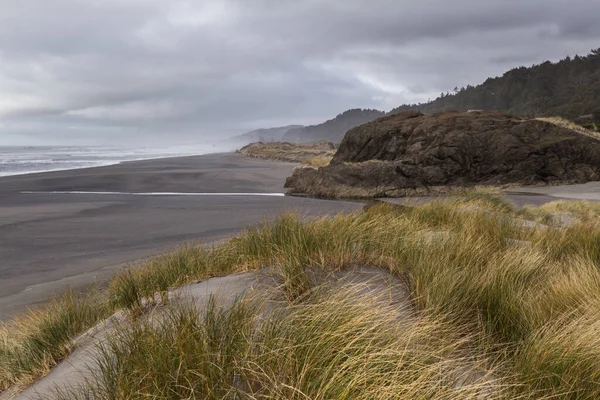 黄金のビーチとセバスチャン岬の間のオレゴン海岸の南のセクションの素晴らしい景色砂丘に輝く草と灰色の空の退色した地平線 — ストック写真