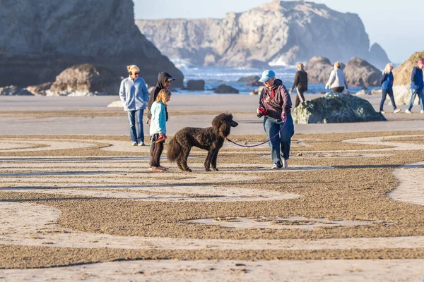 Bandon Sea Oregon Estados Unidos Febrero 2020 Gente Caminando Laberinto — Foto de Stock