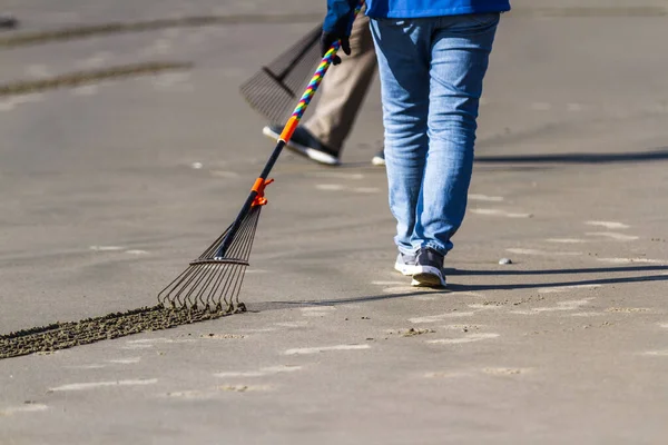 Bandon Aan Zee Oregon Usa Februari 2020 Close Van Het — Stockfoto