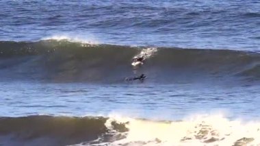 Bandon, Oregon / ABD - 13 Mart 2020: Kuru takım elbiseli bir adam sörf tahtasıyla okyanustan çıkıyor