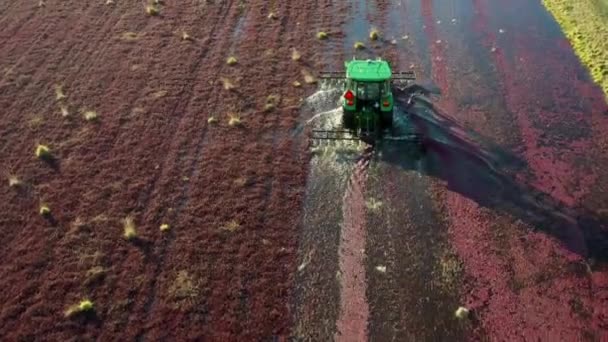Langlois Oregon Usa November 2019 Traktor Fährt Durch Die Preiselbeermoore — Stockvideo