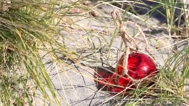 手が届くと背の高い草が吹いている砂の上に赤いガラスのフロートの閉じるとそれをつかむ — ストック動画