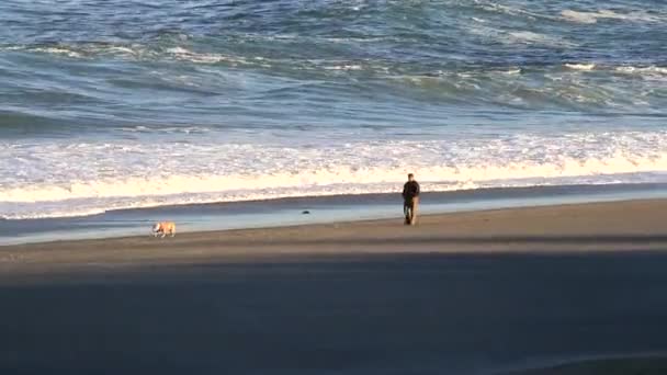 Hombre Irreconocible Paseando Perro Playa Distancia Con Calor Subiendo Través — Vídeo de stock