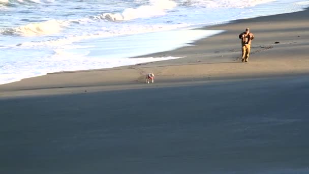 名声を通して熱が上昇し波が近くに移動する距離で彼の犬を歩いて認識できない男 — ストック動画