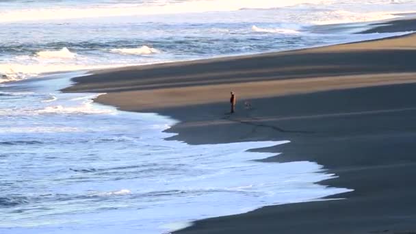Αγνώριστο Άνθρωπος Πόδια Σκυλί Του Στην Παραλία Απόσταση Θερμότητα Αυξάνεται — Αρχείο Βίντεο