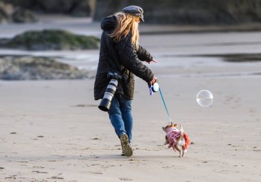 Pembe elbiseli bir chihuahua ile yürüyen bir kadın Güney Oregon sahilinde bir balonu kovalıyor.
