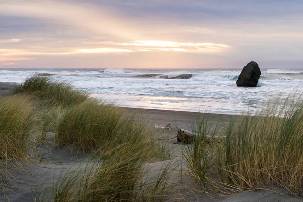 当太阳在地平线上落下 给乌云增添了色彩 给俄勒冈州海岸的沙地和草场增添了一丝光明时 美丽的风景油然而生 — 图库照片