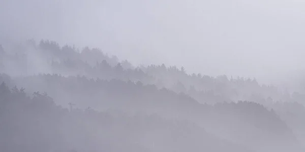 山にしがみつく濃霧と空気中に吹く光の霧でオレゴン海岸の穏やかな夜の風景 — ストック写真