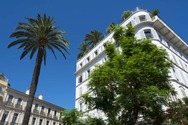 Cannes palmiye ağaçları ve lüks sahil Fransız Rivierası üzerinde bina — Stok fotoğraf