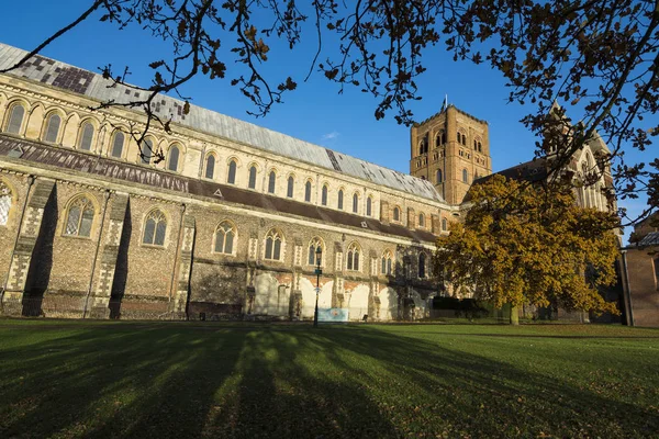 Catedral de St Albans y jardines a la luz del sol dorada —  Fotos de Stock