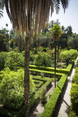 Sunshine Alcazar Seville, bahçelerinde