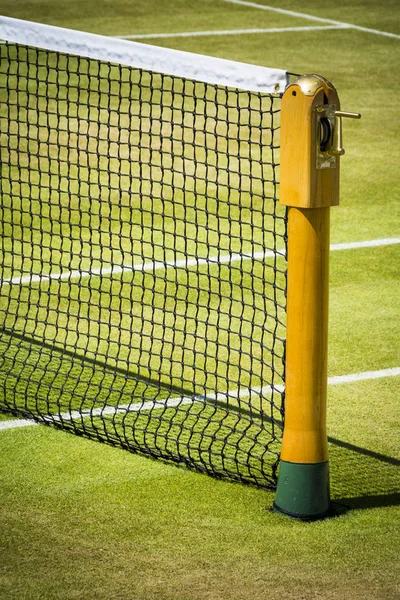 Tennis net on professional grass court in sunshine — Stock Photo, Image