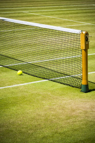 Red de tenis y pelota en la cancha de hierba —  Fotos de Stock