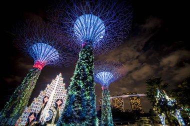 Singapur Supertree Grove karanlık çöktükten sonra ışık görüntüsü