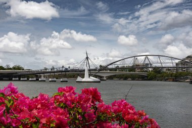 Brisbane Nehri üzerinden Goodwill Köprüsü 'ne doğru bak.