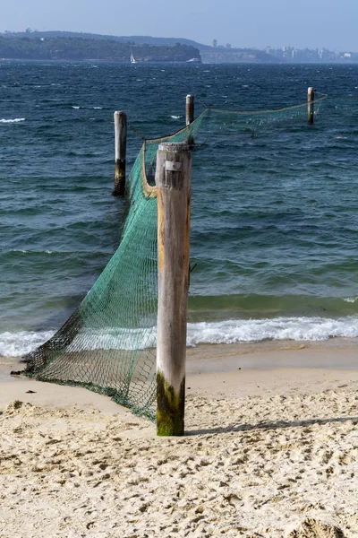 Reti Squalo Proteggere Spiaggia Locale Sydney — Foto Stock