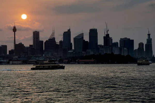 Promy Przemierzają Port Sydney Zachodzie Słońca — Zdjęcie stockowe