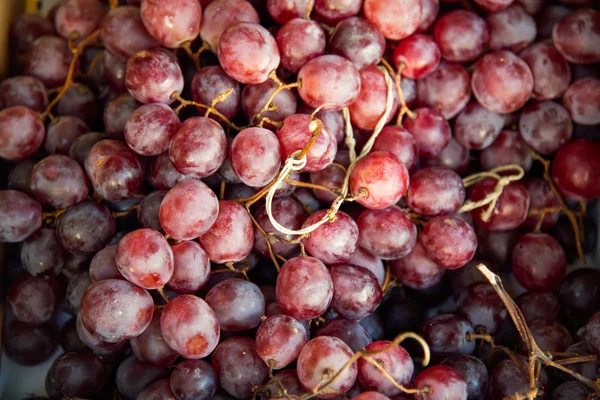 Fondo uva rossa, uva scura  . — Foto Stock