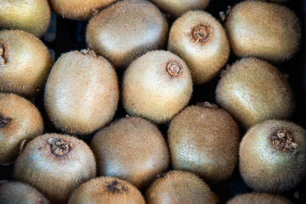 Close up de kiwi frutas . — Fotografia de Stock