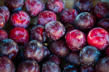Taze erik arka plan, üstten görünüm .