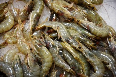 Kaplan karides ile tepsi .