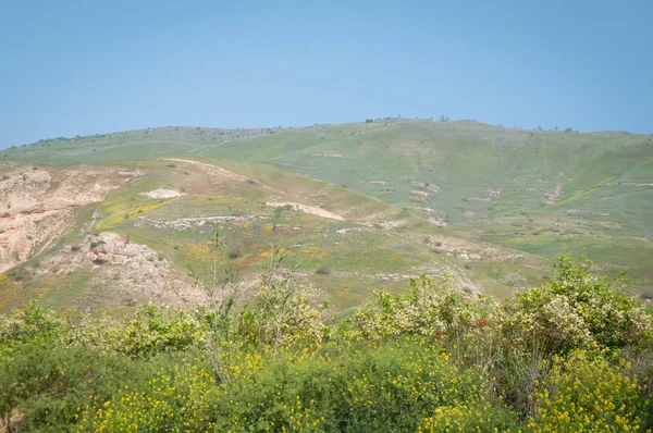 近く Kineret、イスラエルのガリラヤ山からの眺め. — ストック写真