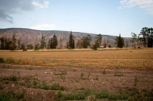 View of the Galilee - cultived fields , Israel . — Stock Photo, Image