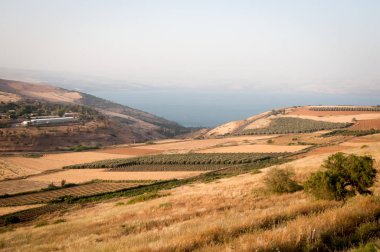 Agriculture valley on the shore of the Sea of Galilee ( Kineret ). clipart
