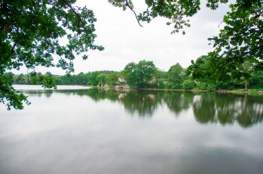Nehirli güzel yaz manzarası .