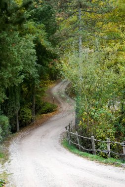 Şaşırtıcı sonbahar orman dağlarında, İtalya .