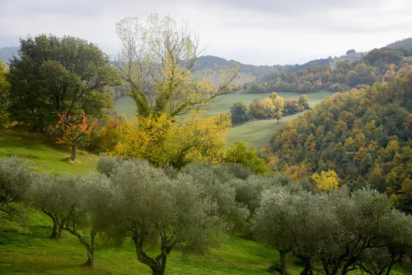 Uitzicht op de herfst aard van Umbrië in Italië . Stockafbeelding
