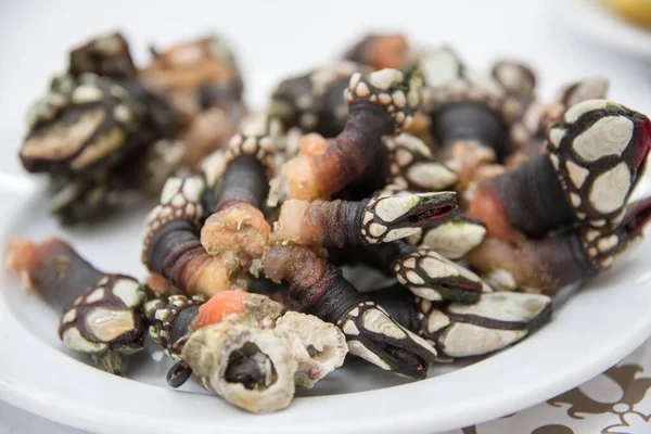 Um prato de frutos do mar exóticos é perceves, ou cracas de ganso . Fotografia De Stock